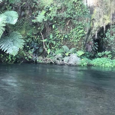 A1 Troutfishing At Tirau Exterior photo