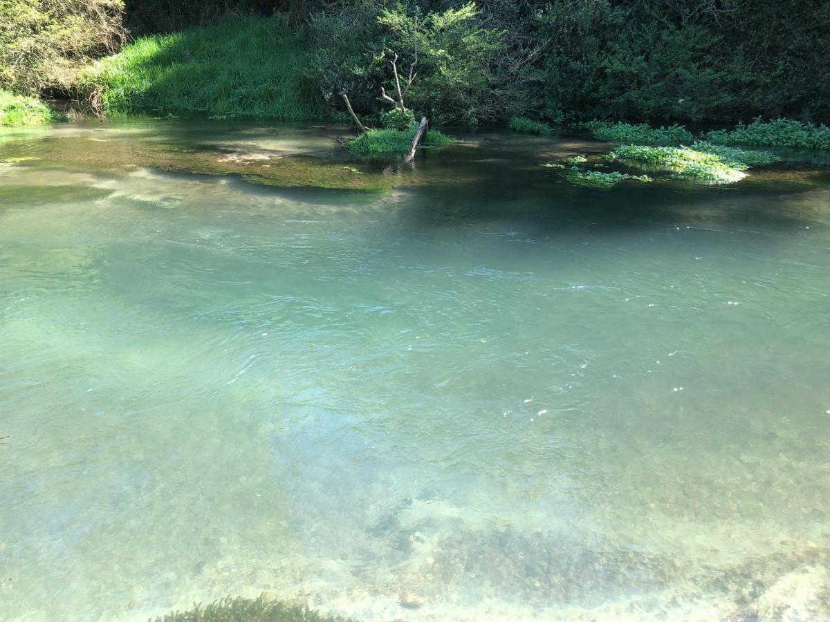 A1 Troutfishing At Tirau Exterior photo