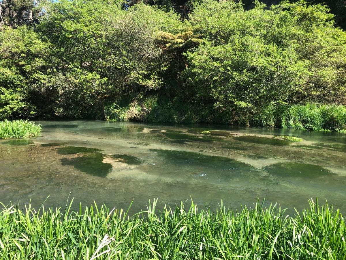 A1 Troutfishing At Tirau Exterior photo